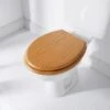 Addis Wood Finish Toilet Seat -Home Discount Store 332126 addis wood finish toilet seat oak