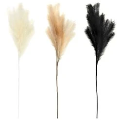 B&M Pampas Stem - Natural -Home Discount Store 372800 395541 394382 pamas stem group