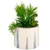 B&M Succulent In Blue Drip Pot -Home Discount Store 380106 succulent in blue drip pot