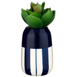 B&M Small Succulent -Home Discount Store 380107 small succulent 5