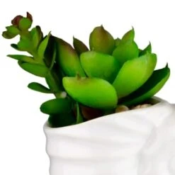 B&M Scandi Shore Small Shell Succulent -Home Discount Store 380110 small shell succulent 2