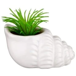 B&M Scandi Shore Small Shell Succulent -Home Discount Store 380110 small shell succulent 4