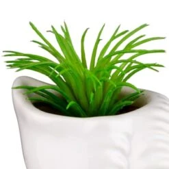 B&M Scandi Shore Small Shell Succulent -Home Discount Store 380110 small shell succulent 5