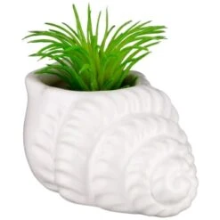 B&M Scandi Shore Small Shell Succulent -Home Discount Store 380110 small shell succulent 6