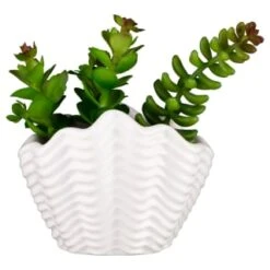 B&M Scandi Shore Small Shell Succulent -Home Discount Store 380110 small shell succulent 7