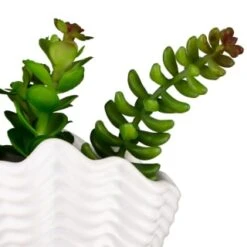 B&M Scandi Shore Small Shell Succulent -Home Discount Store 380110 small shell succulent 8
