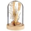 B&M Dried Flowers In Cloche - Natural -Home Discount Store 380163 dried flowers in cloche