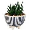 B&M Scandi Shore Stripe Succulent -Home Discount Store 380604 scandi shore stripe succulent 3