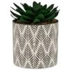 B&M Succulent In Botanist Print Pot - Green -Home Discount Store 380608 patterened pot with succulent