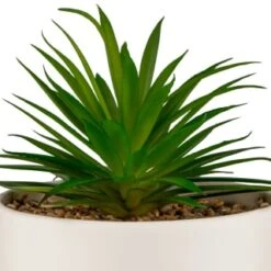 B&M Scandi Shore Succulent In White Pot 5 B&M Scandi Shore Succulent In White Pot -Home Discount Store 380696 succulent in white pot 2