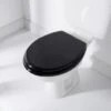 Addis Wooden Toilet Seat - Black 1 Addis Wooden Toilet Seat - Black -Home Discount Store 383077 addis toilet seat wood black