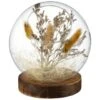 B&M Dried Pampas In Sphere -Home Discount Store 387526 dried pampas in sphere