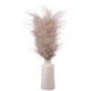 B&M Pampas In White Vase 1 B&M Pampas In White Vase -Home Discount Store 387577 real pampas in white pot