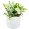 Bloom Mixed Flowers In Pot - White -Home Discount Store 392829 mixed flowers in pot cream