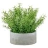 Bloom Large Green Foliage In Cement Pot -Home Discount Store 392861 large green foliage in cement