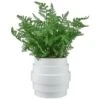 Bloom Premium Foliage In Cream Planter -Home Discount Store 392863 premium foliage in cream planter