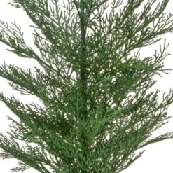 Bloom Conifer Tree In Plant Pot 5 Bloom Conifer Tree In Plant Pot -Home Discount Store 392865 conifer tree in plant pot 2