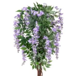 Bloom Wysteria Tree In Pot - Purple -Home Discount Store 392870 4ft wysteria tree purple 2