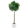 Bloom Premium Bay Tree -Home Discount Store 392873 premium bay tree