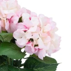 Bloom Hydrangea In Pot - Pink -Home Discount Store 392961 hydrangea in pot