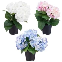Bloom Hydrangea In Pot - Pink -Home Discount Store 392961 hydrangea in pot group1