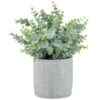 Bloom Eucalyptus In Cement Pot -Home Discount Store 392965 eucalyptus in cement pot