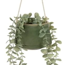B&M Hanging Foliage In Green Ceramic Pot -Home Discount Store 394335 hanging green pot foliage 2