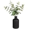 B&M Eucalyptus In Black Pot 1 B&M Eucalyptus In Black Pot -Home Discount Store 394336 eucalyptus in black pot