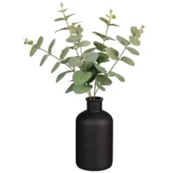 B&M Eucalyptus In Black Pot