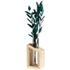 B&M Plant In Glass & Wooden Vase -Home Discount Store 394337 plant in glass and wooden vase