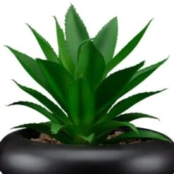 B&M Succulent In Bubble Vase -Home Discount Store 394339 succulent in bubble vase 2