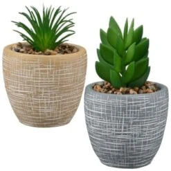 B&M Small Succulent Pot - Stone 7 B&M Small Succulent Pot - Stone -Home Discount Store 394663 small succulent group
