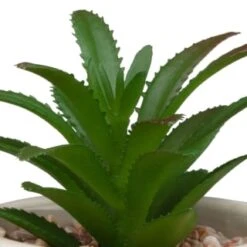 B&M Assorted Embossed Pots -Home Discount Store 394664 embossed pot 2