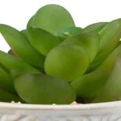 B&M Assorted Embossed Pots -Home Discount Store 394664 embossed pot 6