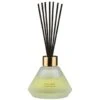 B&M Spa Reed Diffuser 100ml - Escape
