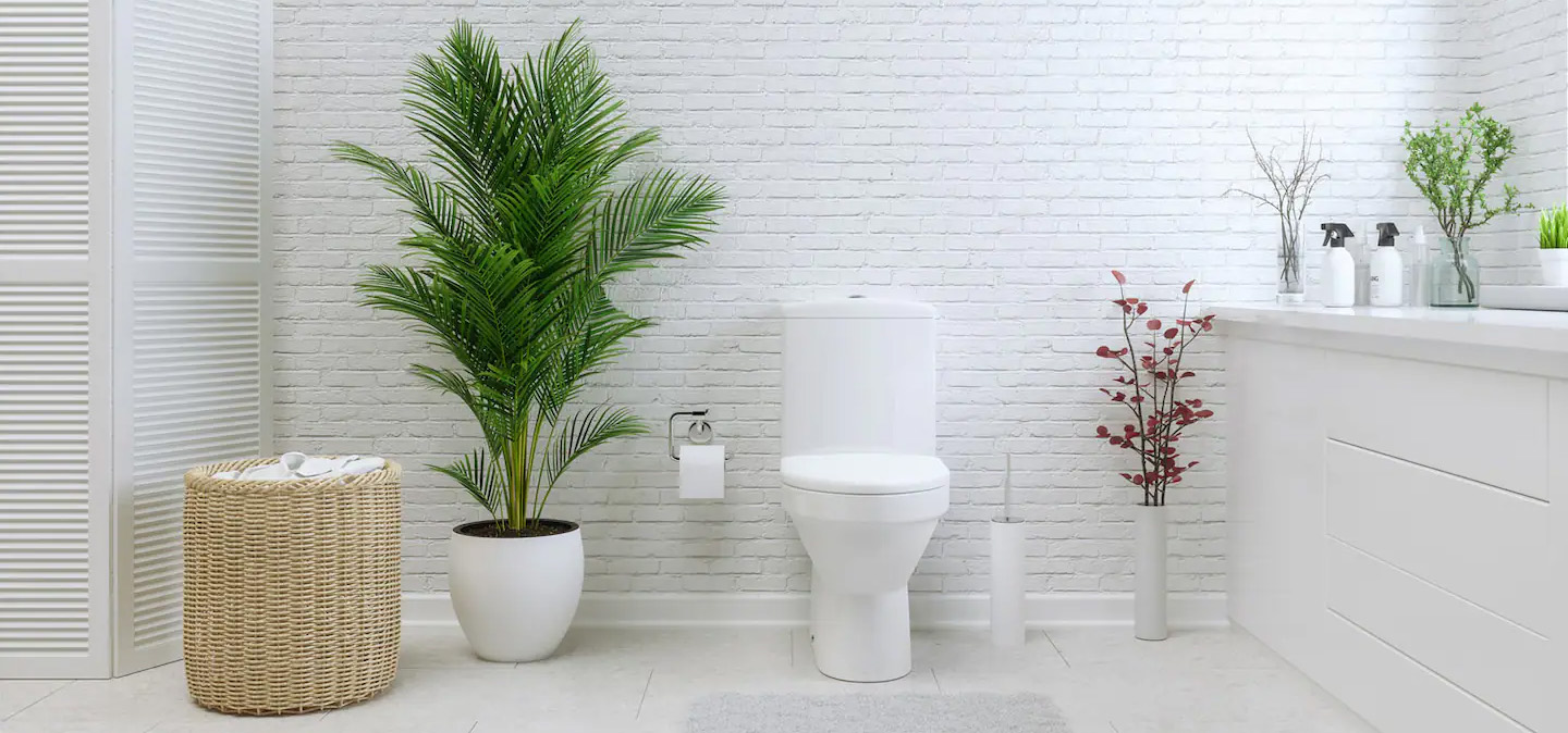 Home Discount Store -Home Discount Store 1